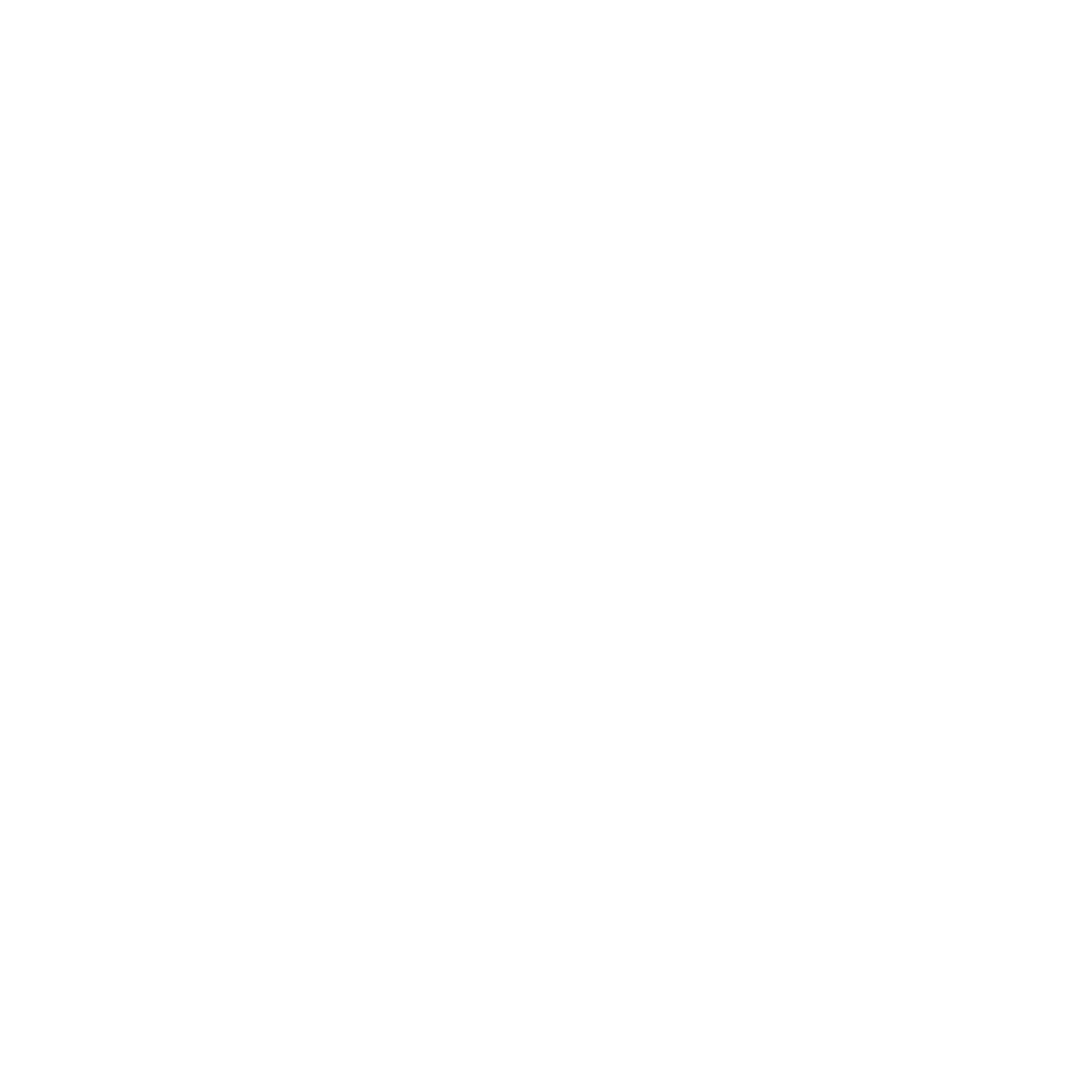 Village 2026